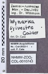 Etikette zu Wynarka sylvestre (NHMW-ZOO-COL-0010743)